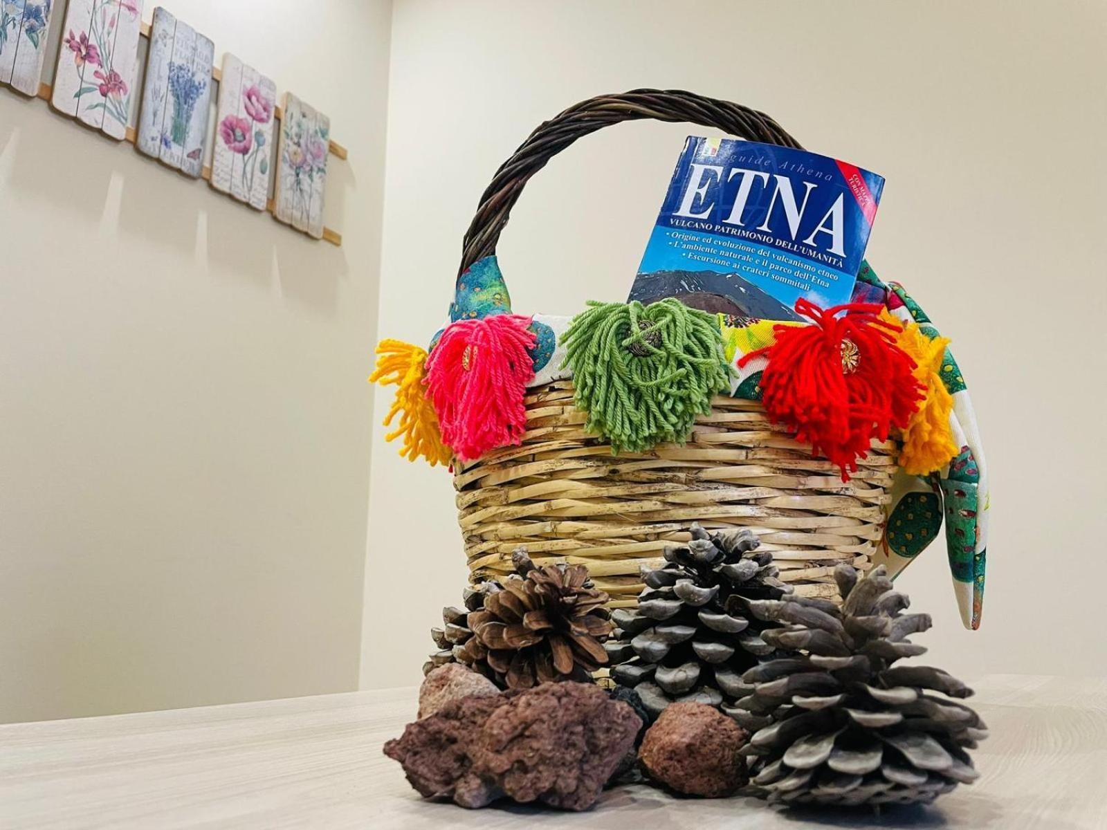 ニコロージ La Dama Dell'Etna Bed & Breakfast エクステリア 写真