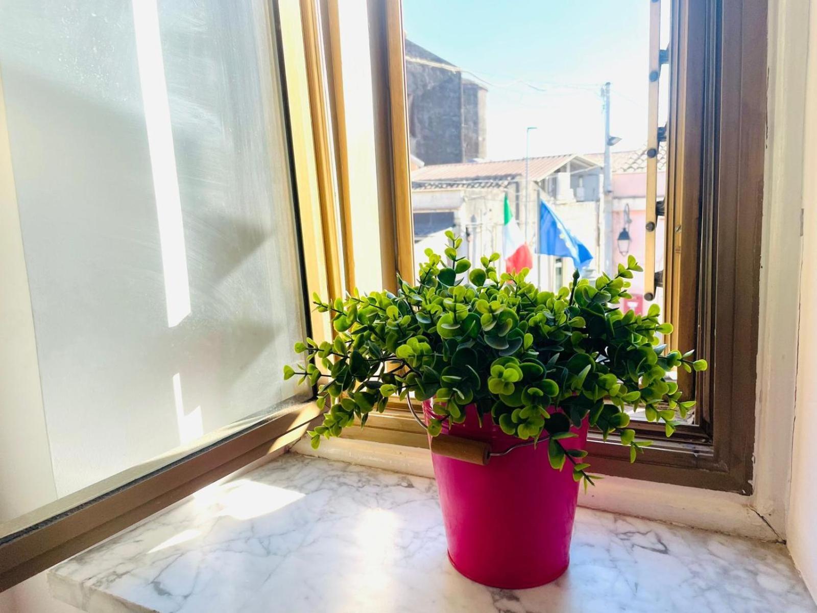 ニコロージ La Dama Dell'Etna Bed & Breakfast エクステリア 写真